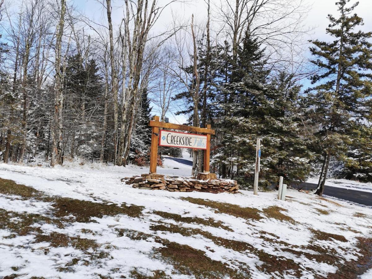 Gorgeous House For Ski Retreat Or Mountain Vacations スノーシュー エクステリア 写真
